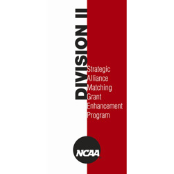 Strategic Alliance Matching Grant Enhancement Program
